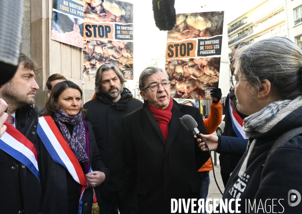 Broyage des poussins : L214 dénonce la trahison du gouvernement