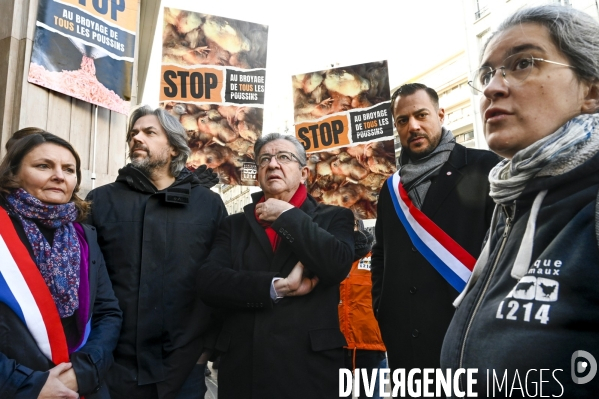 Broyage des poussins : L214 dénonce la trahison du gouvernement