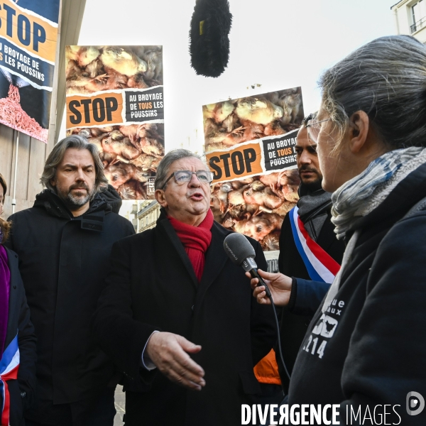 Broyage des poussins : L214 dénonce la trahison du gouvernement