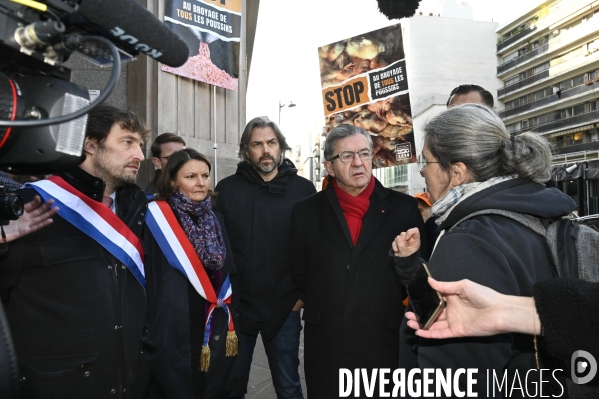 Broyage des poussins : L214 dénonce la trahison du gouvernement