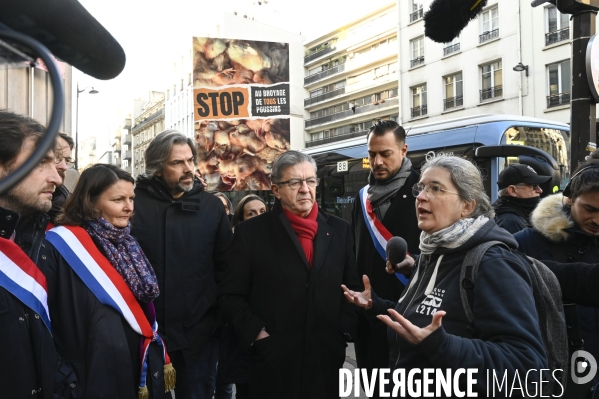 Broyage des poussins : L214 dénonce la trahison du gouvernement