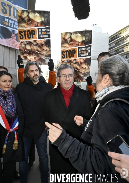 Broyage des poussins : L214 dénonce la trahison du gouvernement