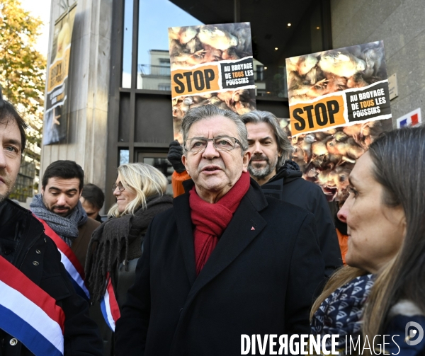 Broyage des poussins : L214 dénonce la trahison du gouvernement