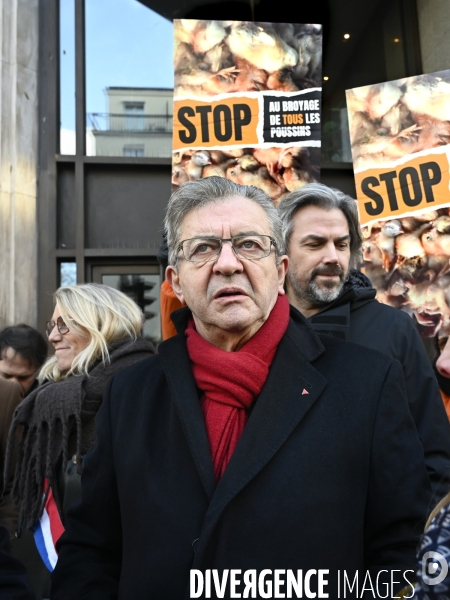 Broyage des poussins : L214 dénonce la trahison du gouvernement