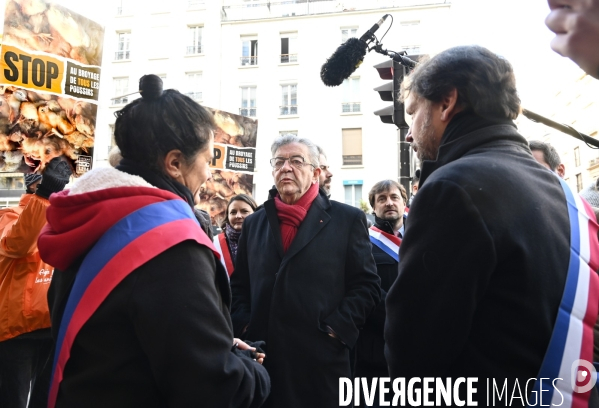 Broyage des poussins : L214 dénonce la trahison du gouvernement