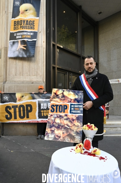 Broyage des poussins : L214 dénonce la trahison du gouvernement