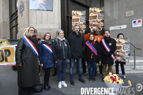 Broyage des poussins : L214 dénonce la trahison du gouvernement