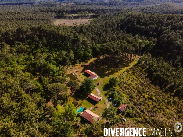 Vue de drone de la foret landaise, massif forestier des Landes de Gascogne