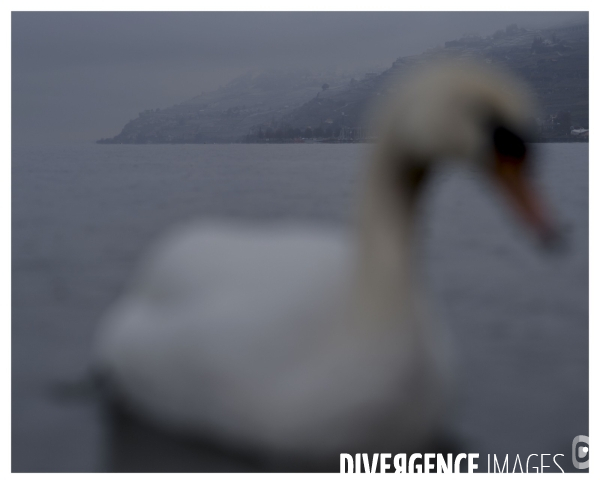 Un Conte en Suisse