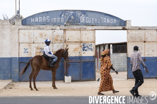 Yamar et les enfants Jockeys du Senegal