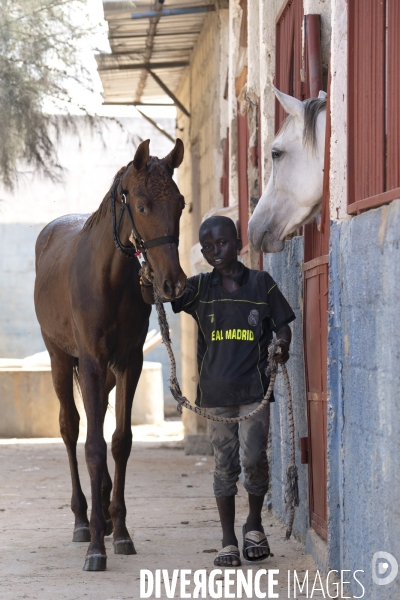 Yamar et les enfants Jockeys du Senegal