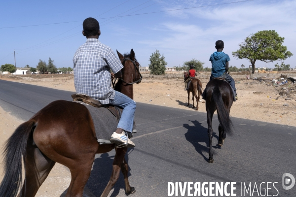 Yamar et les enfants Jockeys du Senegal