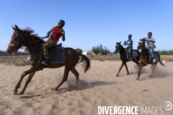 Yamar et les enfants Jockeys du Senegal