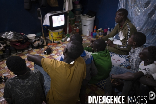 Yamar et les enfants Jockeys du Senegal