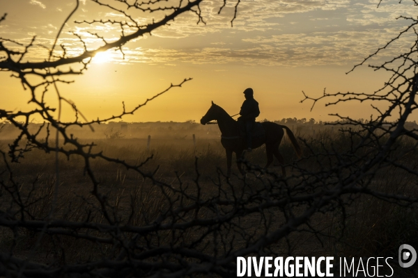 Yamar et les enfants Jockeys du Senegal