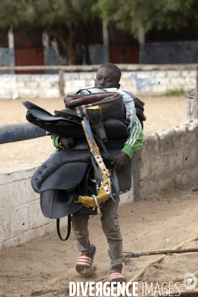 Yamar et les enfants Jockeys du Senegal