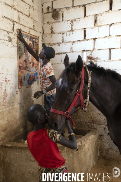 Yamar et les enfants Jockeys du Senegal