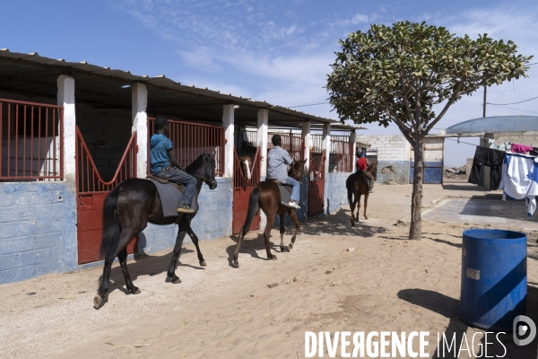 Yamar et les enfants Jockeys du Senegal