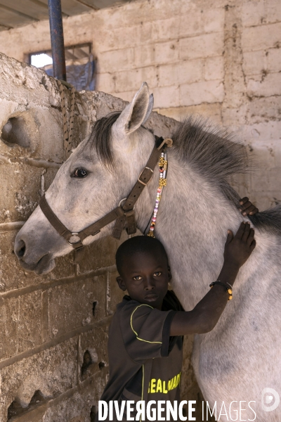 Yamar et les enfants Jockeys du Senegal