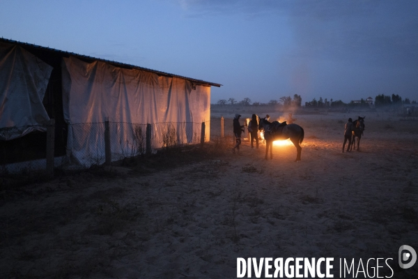 Yamar et les enfants Jockeys du Senegal