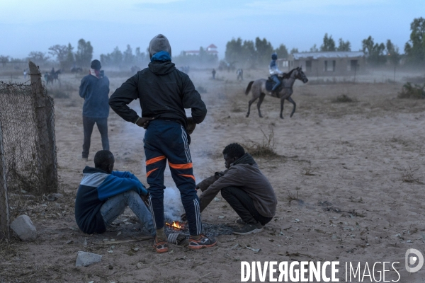 Yamar et les enfants Jockeys du Senegal