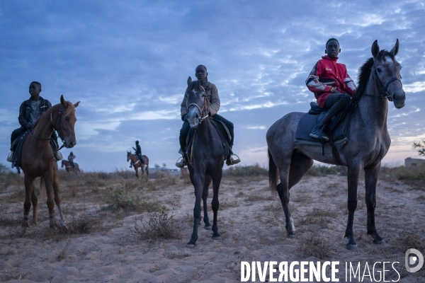 Yamar et les enfants Jockeys du Senegal