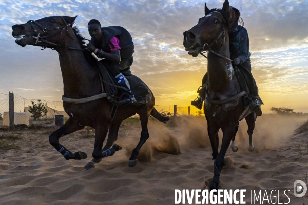 Yamar et les enfants Jockeys du Senegal