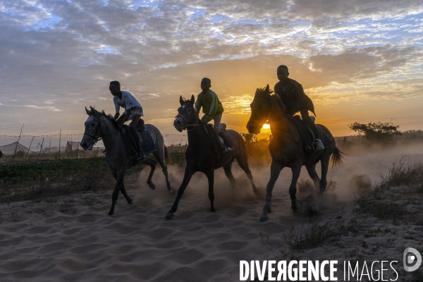 Yamar et les enfants Jockeys du Senegal