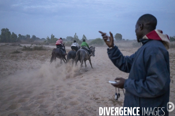 Yamar et les enfants Jockeys du Senegal