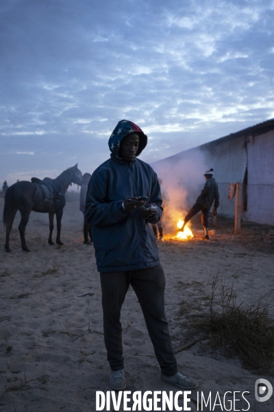 Yamar et les enfants Jockeys du Senegal