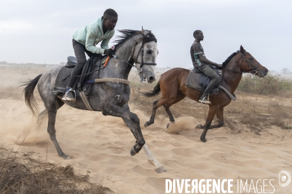 Yamar et les enfants Jockeys du Senegal