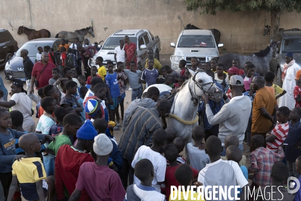 Yamar et les enfants Jockeys du Senegal