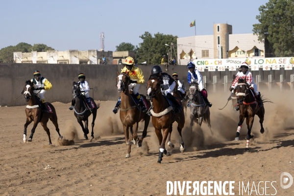 Yamar et les enfants Jockeys du Senegal