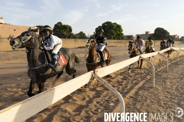 Yamar et les enfants Jockeys du Senegal