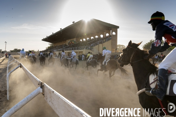 Yamar et les enfants Jockeys du Senegal