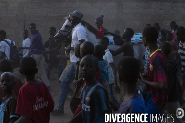 Yamar et les enfants Jockeys du Senegal