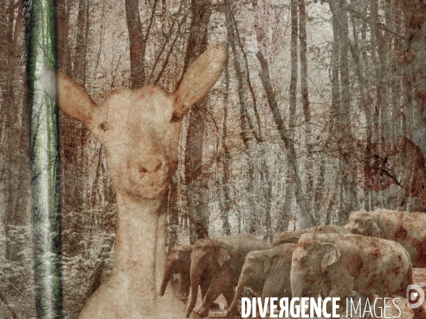 Les Passagers - Bestiaire post-moderne