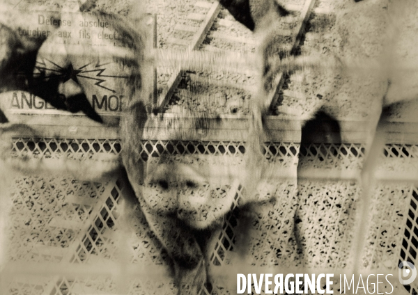 Les Passagers - Bestiaire post-moderne