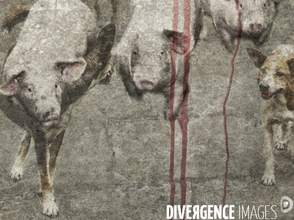 Les Passagers - Bestiaire post-moderne