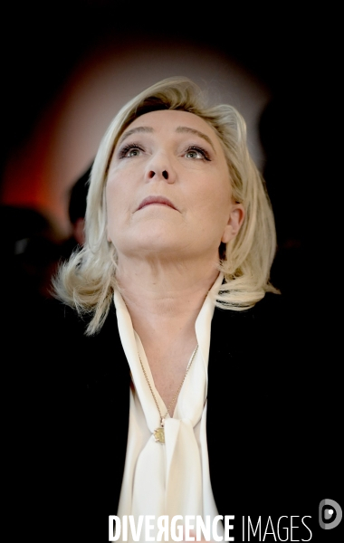 Marine le pen