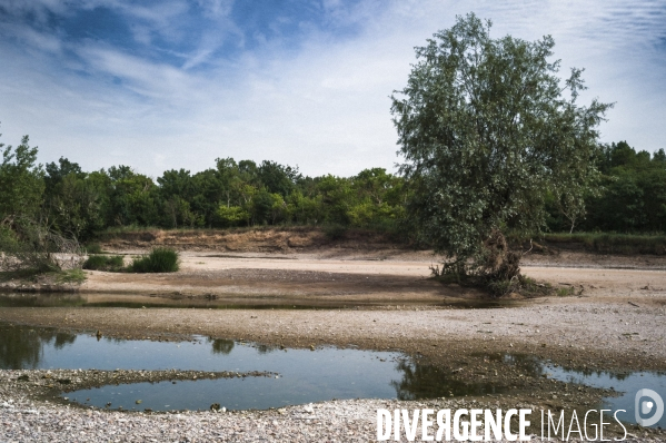 La Loire en période de sécheresse