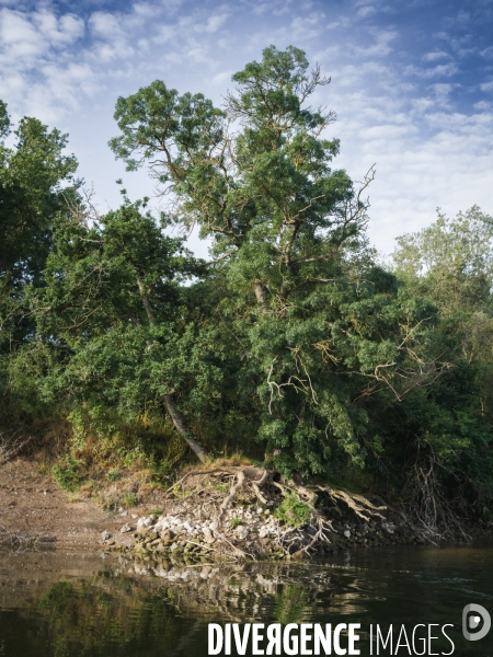 La Loire en période de sécheresse