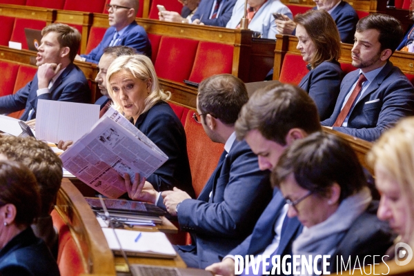 Niche parlementaire du RN  à l  Assemblée Nationale