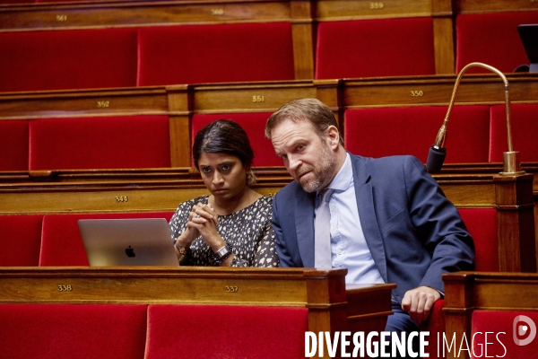 Niche parlementaire du RN  à l  Assemblée Nationale