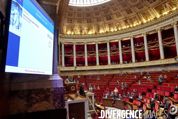 Niche parlementaire du RN  à l  Assemblée Nationale