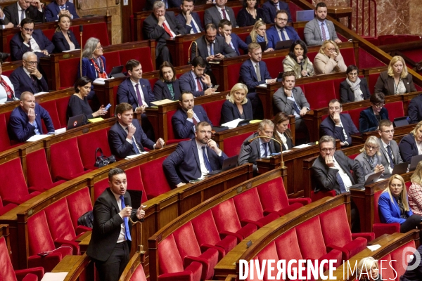 Niche parlementaire du RN  à l  Assemblée Nationale