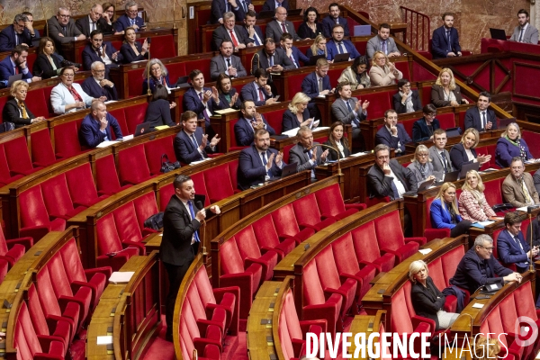 Niche parlementaire du RN  à l  Assemblée Nationale