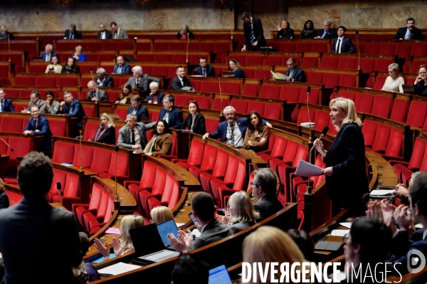 Assemblee nationale / Niche parlementaire du RN