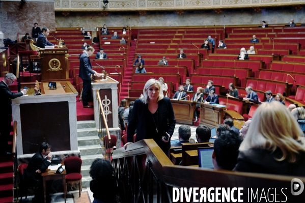 Assemblee nationale / Niche parlementaire du RN