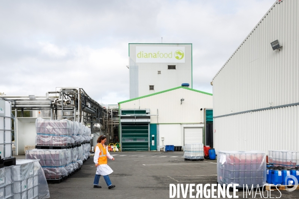 Site industriel de transformation agroalimentaire